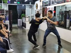 -温鉴良实用咏春拳