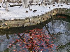 -水磨沟公园