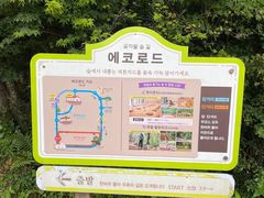 -济州森林小火车生态公园