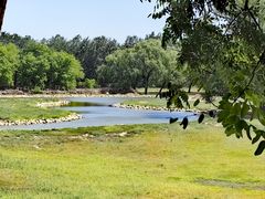 -北京麋鹿生态实验中心