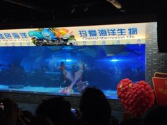 -成都浩海立方海洋公园
