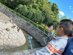 -哈尔滨北方森林动物园