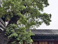 -文瀛公园