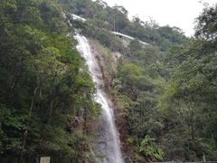 -九龙江国家森林公园