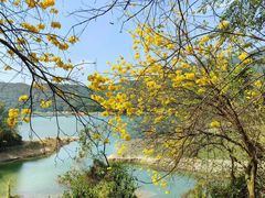 -悦来福·东山海鲜(莲花店)