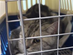 -达爱动物医院·犬猫分区·CT·复杂眼科(远洋山水分院)