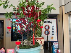 -猫窝棋牌(尚大国际店)