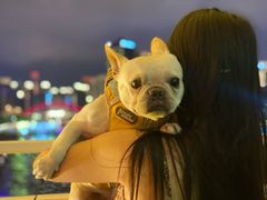 -天津戏剧博物馆