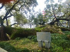 -江心屿景区