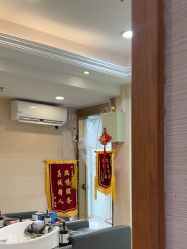 -碧莲盛·不剃发植发