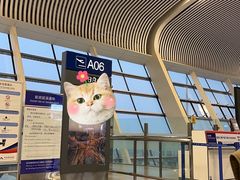 -合肥新桥国际机场-航站楼