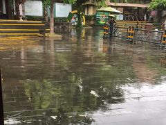 -亚龙湾热带天堂森林公园