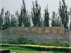 -永定河休闲森林公园