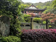 -十八棵（老龙井）御茶园(老龙井店)