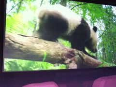 -UME影城(安贞DTS:X店)