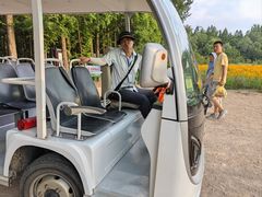-日照海滨国家森林公园