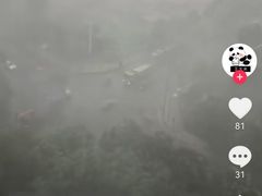 -约翰·菲茨杰拉德·肯尼迪国际机场