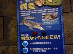-哈尔滨波塞冬海底世界