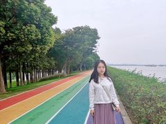 -贡湖湾湿地公园