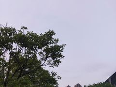 -云洞岩风景区