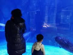 -哈尔滨波塞冬海底世界