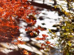 -本溪老边沟风景区