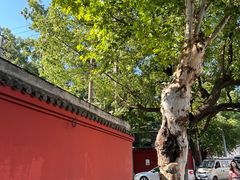 -湖南省立第一师范学校旧址