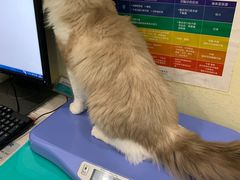 -美迦爱-牙专科·兔科·骨科诊疗中心(北苑店)
