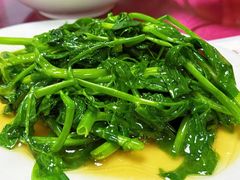 -老丘丘(较场口店)