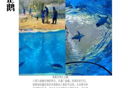 -珠海长隆海洋王国