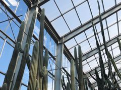 -南通洲际绿博园