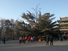 -迎泽公园
