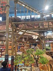 -卡通尼·Safari非洲探索乐园·生日会(金桥国际商业广场店)