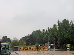 -曹州牡丹园