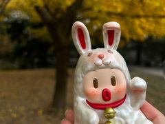 -上海共青森林公园