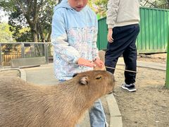 -成都欢乐谷