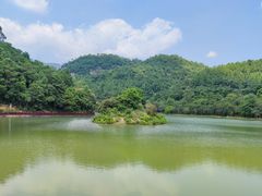 -广州白江湖森林公园