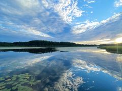 -塞罕坝国家级自然保护区