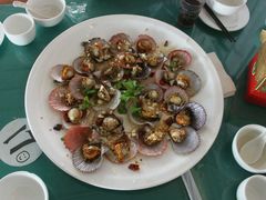 -日照海滨国家森林公园