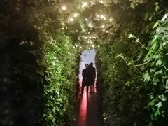 -顶层酒吧ROOF(上海艾迪逊酒店)