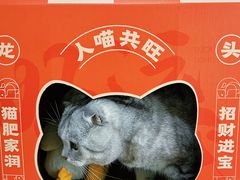 -鱼上·烤鱼(万象城店)