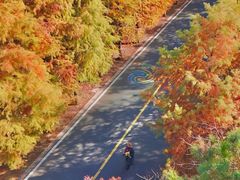 -南京市无想山景区