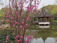 -上海醉白池公园