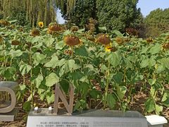-武汉园博园(武汉自然博物馆)