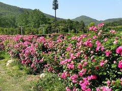 -老山国家森林公园