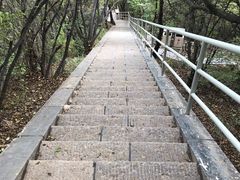-云丘山景区