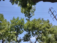 -河北中医学院(橘泉校区)