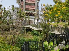 -王借岗森林公园