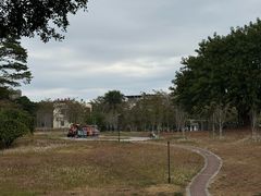 -风云岭森林公园