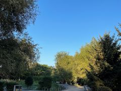 -长白岛森林公园